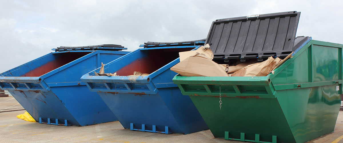 What Are Professional Skip Bins Services
